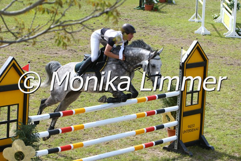 204M6455_Colambo_Spring Mx.JPG